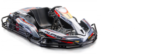 Kartingai Kartlandas kaunas