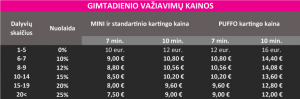 Gimtadienis vaikams kartodrome
